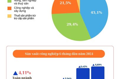 Bức tranh kinh tế Đắk Nông 6 tháng đầu năm 2024, nhiều gam màu tươi sáng